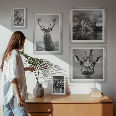 Decorațiune de perete set tablouri Animale alb-negru din natură