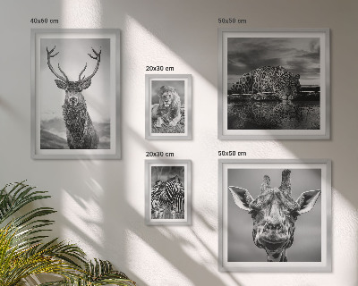 Decorațiune de perete set tablouri Animale alb-negru din natură