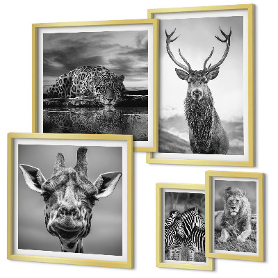Decorațiune de perete set tablouri Animale alb-negru din natură