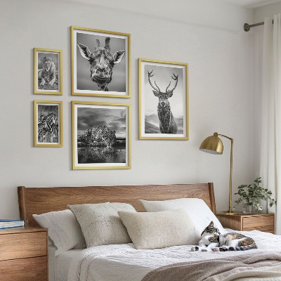 Decorațiune de perete set tablouri Animale alb-negru din natură