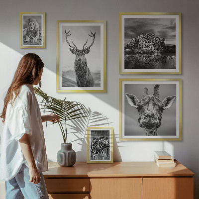 Decorațiune de perete set tablouri Animale alb-negru din natură