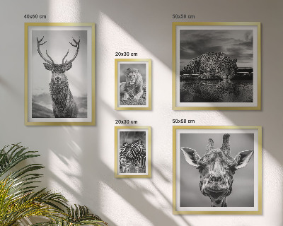 Decorațiune de perete set tablouri Animale alb-negru din natură
