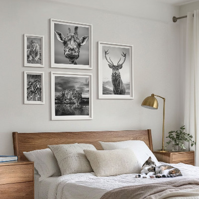 Decorațiune de perete set tablouri Animale alb-negru din natură