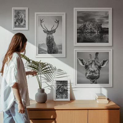 Decorațiune de perete set tablouri Animale alb-negru din natură