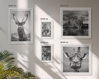 Decorațiune de perete set tablouri Animale alb-negru din natură
