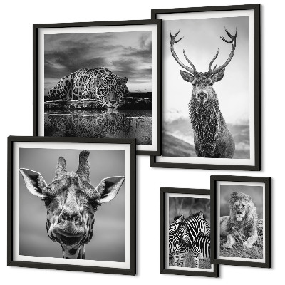 Decorațiune de perete set tablouri Animale alb-negru din natură