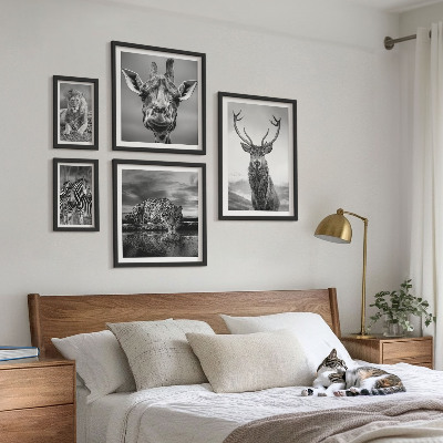 Decorațiune de perete set tablouri Animale alb-negru din natură