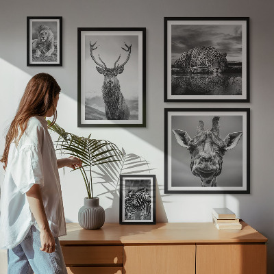 Decorațiune de perete set tablouri Animale alb-negru din natură