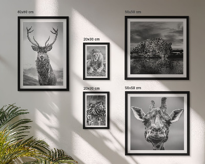 Decorațiune de perete set tablouri Animale alb-negru din natură