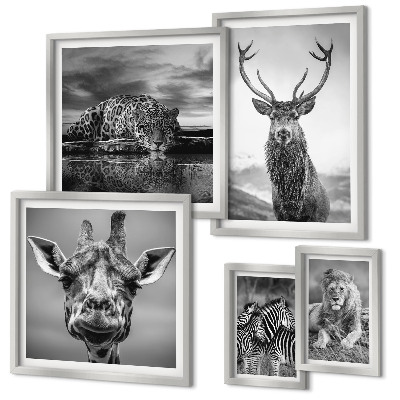 Decorațiune de perete set tablouri Animale alb-negru din natură