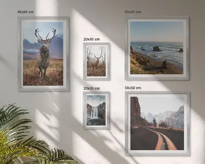 Set de tablouri decorative pentru perete cu peisaje și animale sălbatice din natură