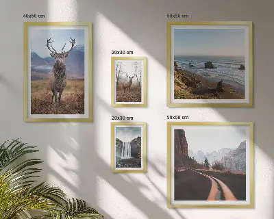 Set de tablouri decorative pentru perete cu peisaje și animale sălbatice din natură