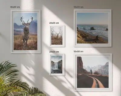 Set de tablouri decorative pentru perete cu peisaje și animale sălbatice din natură