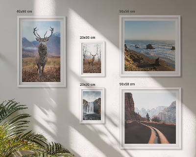 Decorațiune de perete set tablouri Peisaje cu animale sălbatice din natură