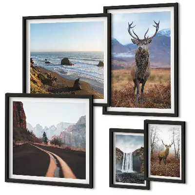 Set de tablouri decorative pentru perete cu peisaje și animale sălbatice din natură