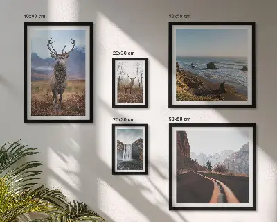 Set de tablouri decorative pentru perete cu peisaje și animale sălbatice din natură
