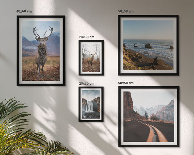 Decorațiune de perete set tablouri Peisaje cu animale sălbatice din natură
