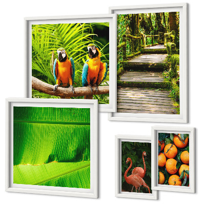 Polyptic înrămat Motive tropicale cu fructe naturale
