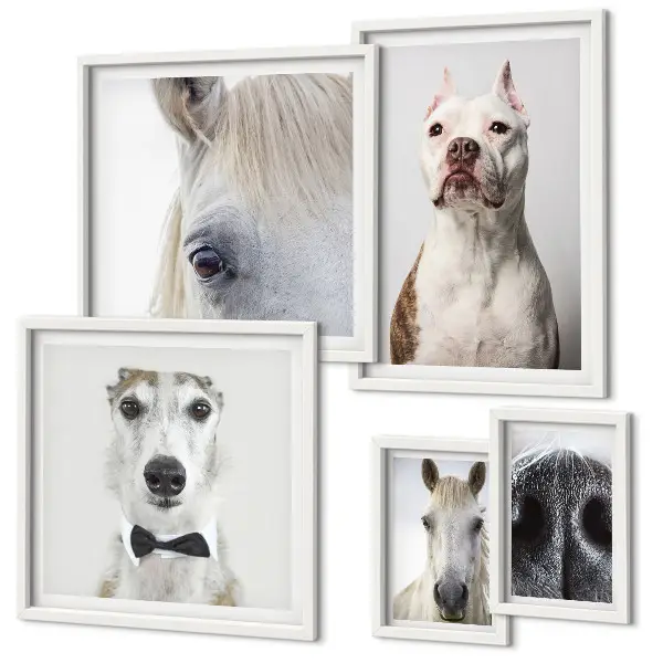 Portrete moderne de animale polyptic înrămat