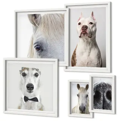 Portrete moderne de animale polyptic înrămat