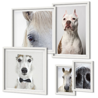 Polyptic înrămat Portrete moderne de animale