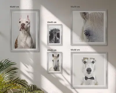 Portrete moderne de animale polyptic înrămat