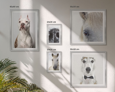 Polyptic înrămat Portrete moderne de animale
