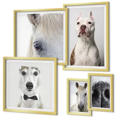 Portrete moderne de animale polyptic înrămat