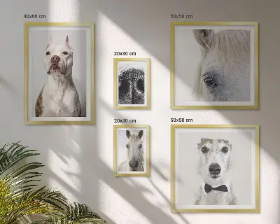 Portrete moderne de animale polyptic înrămat