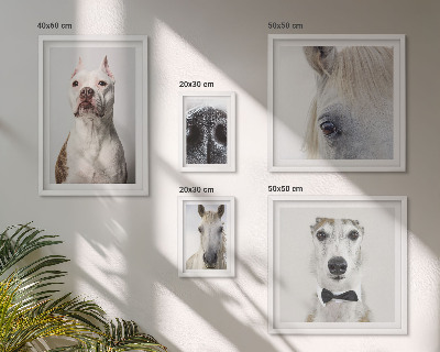 Polyptic înrămat Portrete moderne de animale