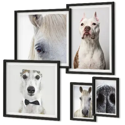 Portrete moderne de animale polyptic înrămat