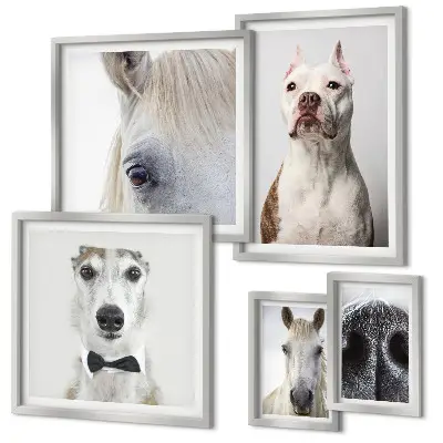 Portrete moderne de animale polyptic înrămat