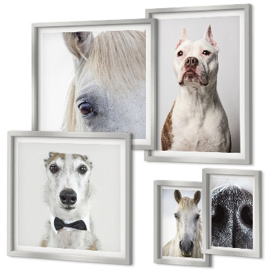 Polyptic înrămat Portrete moderne de animale