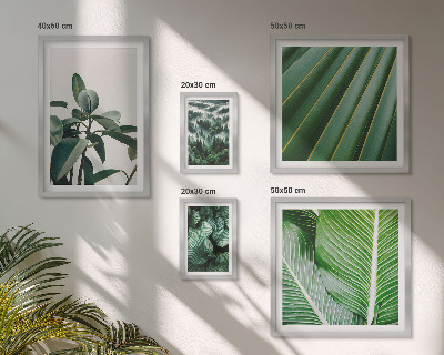 Decorațiune de perete set tablouri Inspirații din plante tropicale