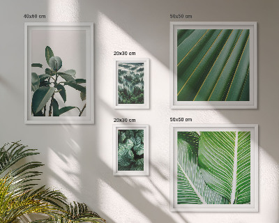 Decorațiune de perete set tablouri Inspirații din plante tropicale