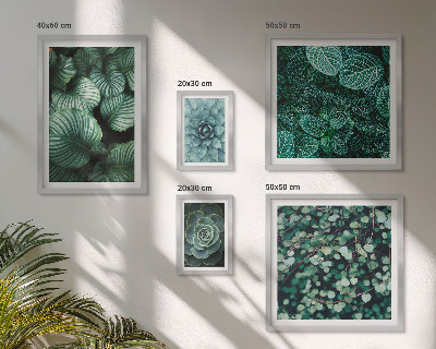 Polyptic înrămat Plante frunze suculente natură