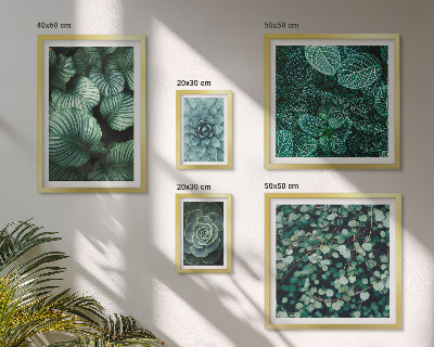 Polyptic înrămat Plante frunze suculente natură