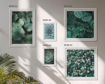 Polyptic înrămat Plante frunze suculente natură