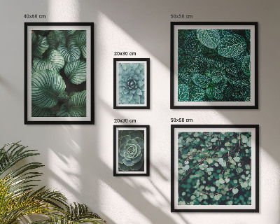 Polyptic înrămat Plante frunze suculente natură