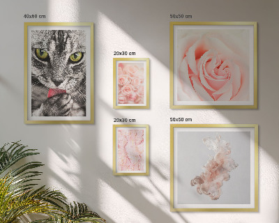 Decorațiune de perete set tablouri Pisici trandafiri nuanțe delicate