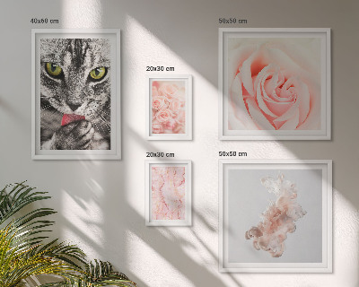 Decorațiune de perete set tablouri Pisici trandafiri nuanțe delicate
