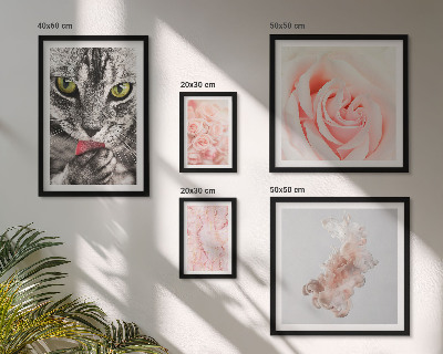 Decorațiune de perete set tablouri Pisici trandafiri nuanțe delicate
