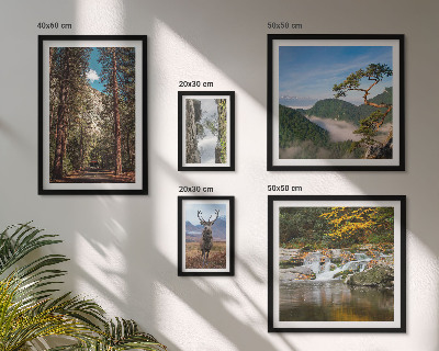 Decorațiune de perete set tablouri Peisaje montane și natură sălbatică