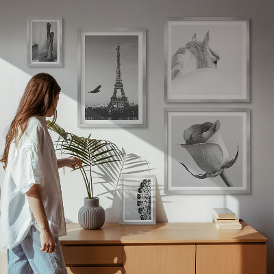 Decorațiune de perete set tablouri Imagini elegante alb-negru