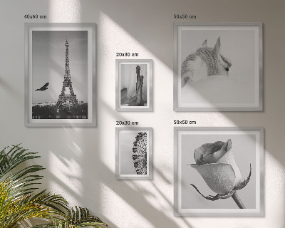 Decorațiune de perete set tablouri Imagini elegante alb-negru