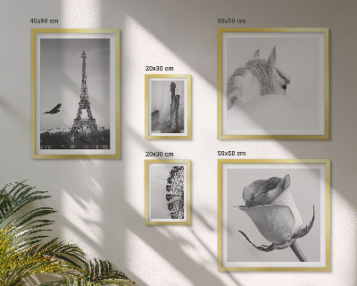 Decorațiune de perete set tablouri Imagini elegante alb-negru