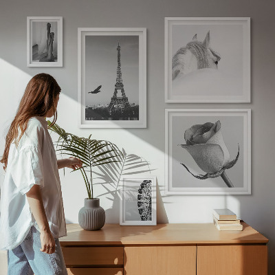 Decorațiune de perete set tablouri Imagini elegante alb-negru