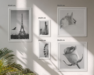 Decorațiune de perete set tablouri Imagini elegante alb-negru
