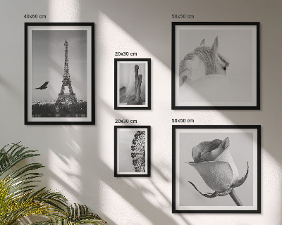Decorațiune de perete set tablouri Imagini elegante alb-negru
