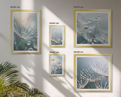 Decorațiune de perete set tablouri Plante minimaliste cu picături de rouă